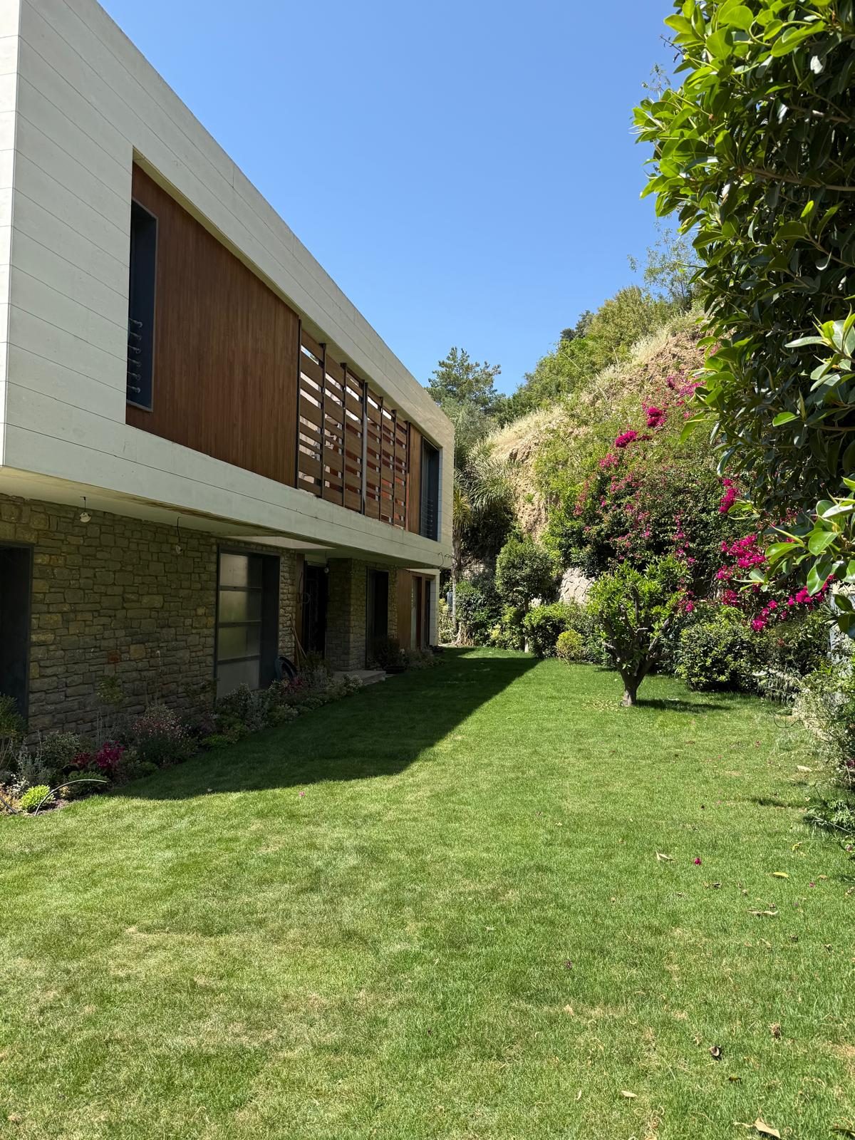 Modern villanın çim ve begonvilli bahçesi